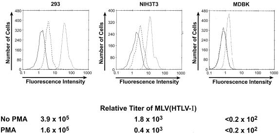 FIG. 7.