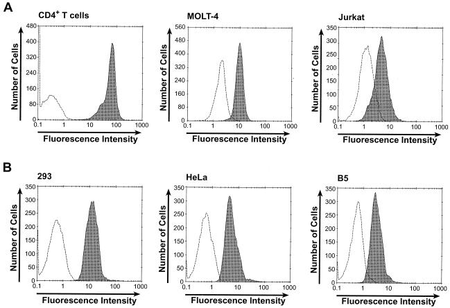 FIG. 1.