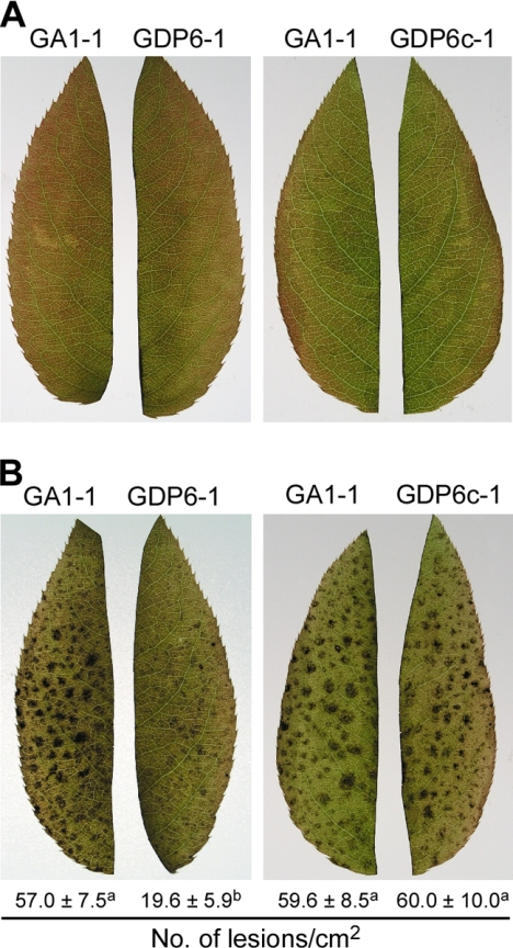 Fig. 10.