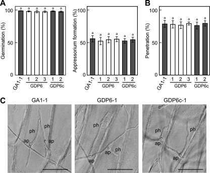 Fig. 9.