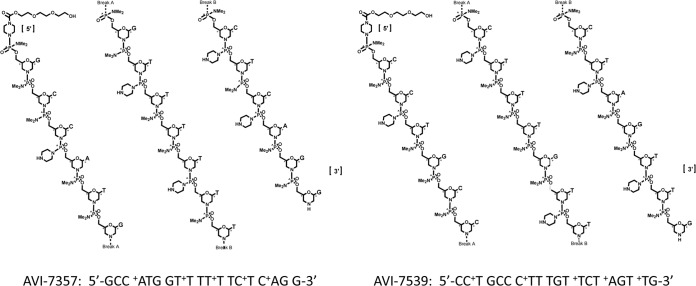 FIG 1