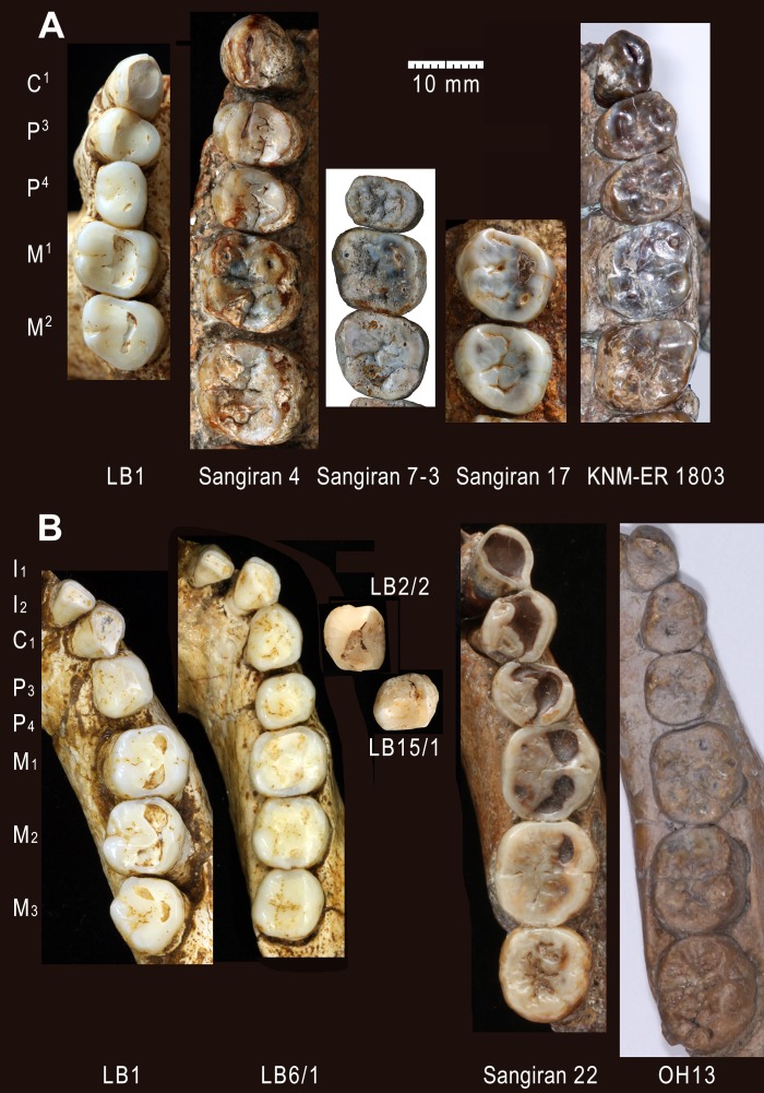 Fig 9