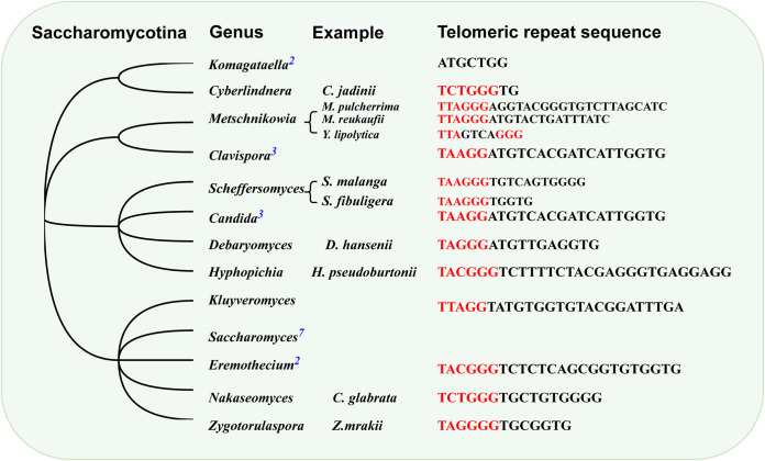 FIG 3