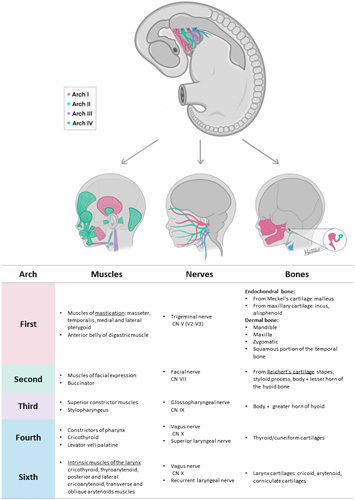 FIGURE 3