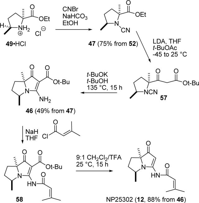 SCHEME 13