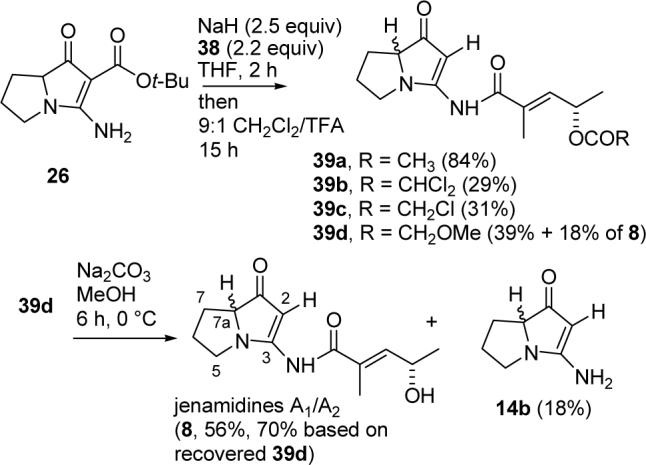 SCHEME 8