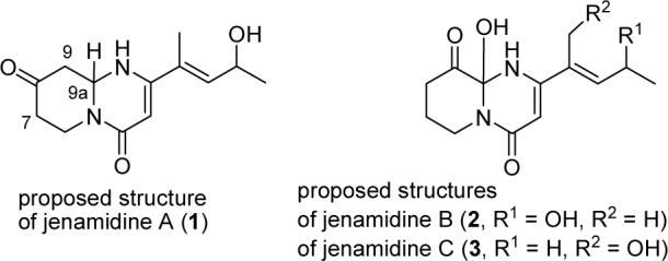 FIGURE 1