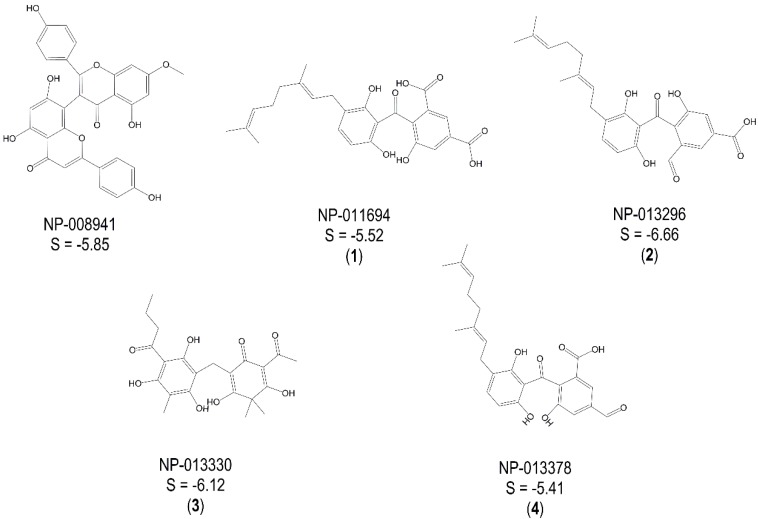 Figure 1