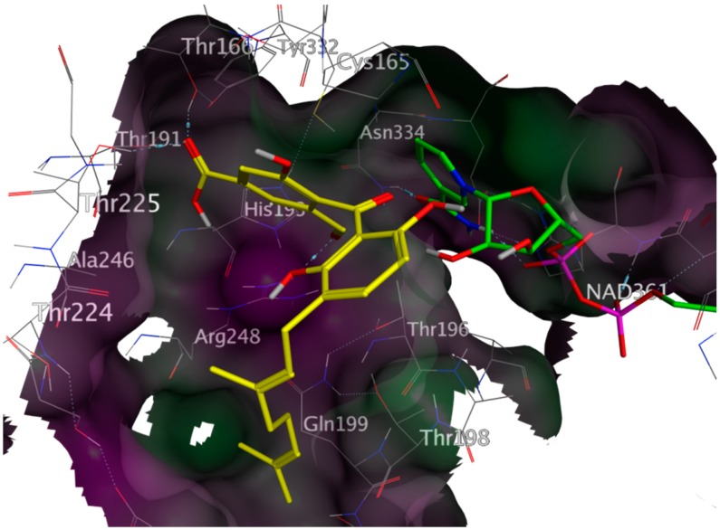 Figure 3