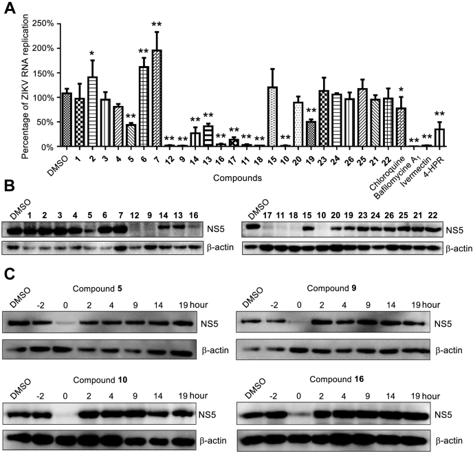 Figure 3