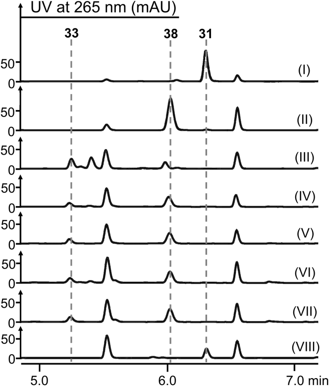 Figure 6