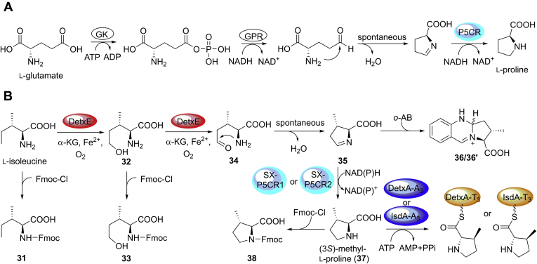 Figure 7