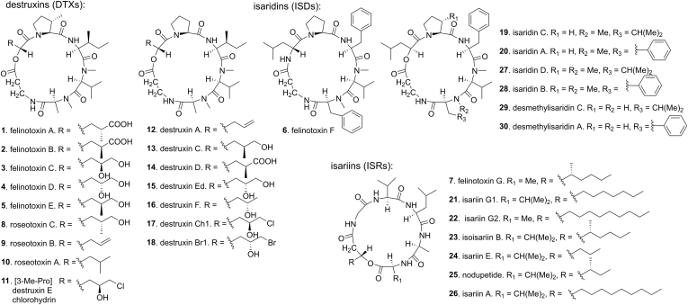 Figure 1