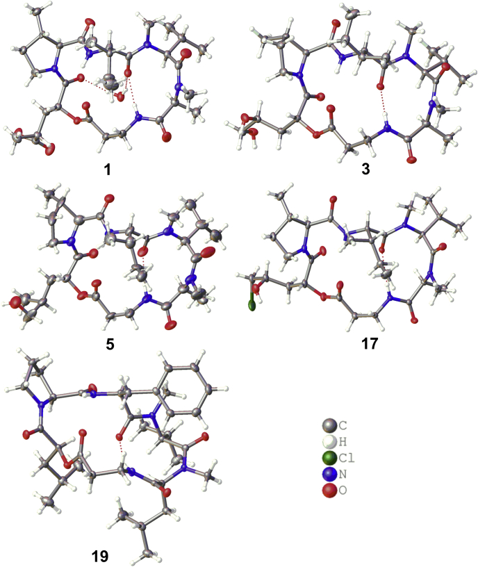 Figure 2