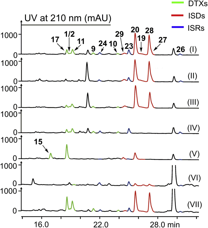 Figure 5