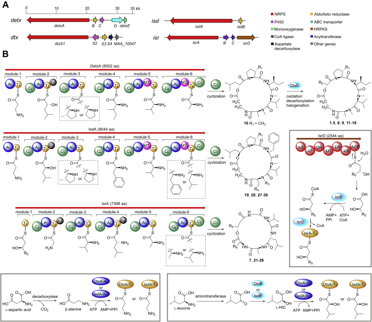 Figure 4