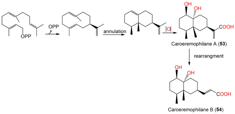 Scheme 3