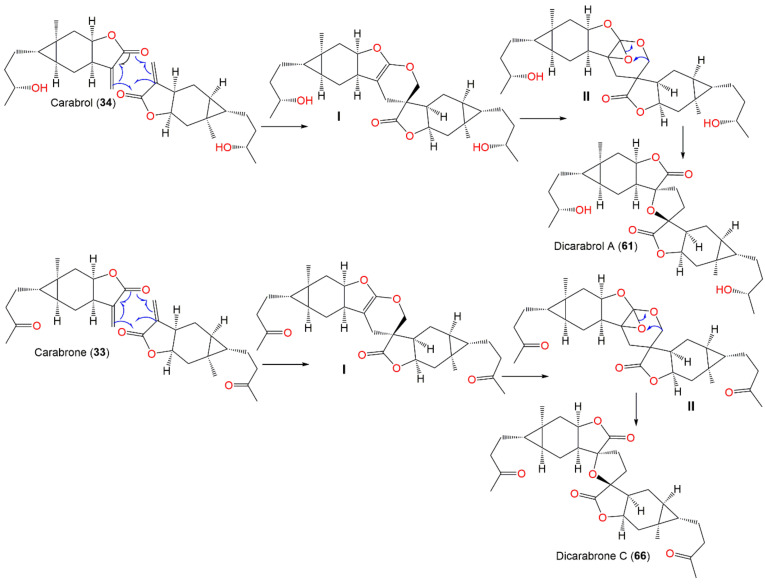 Scheme 6