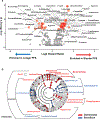Extended Data Fig. 3 |