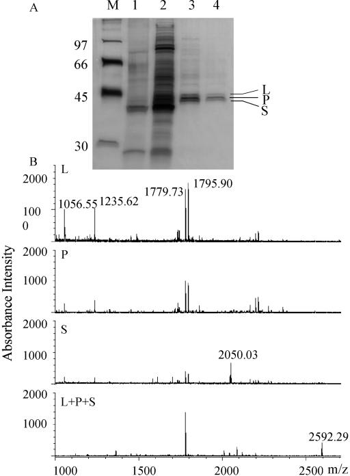 Figure 3.