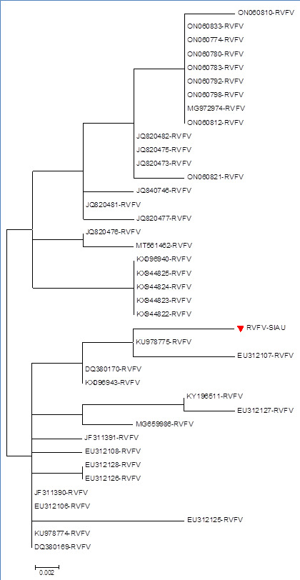 Figure 5