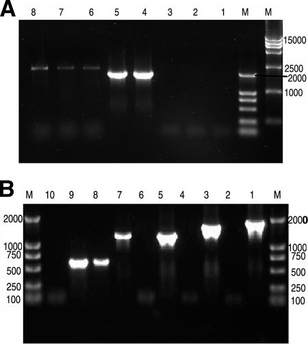 FIG. 3.