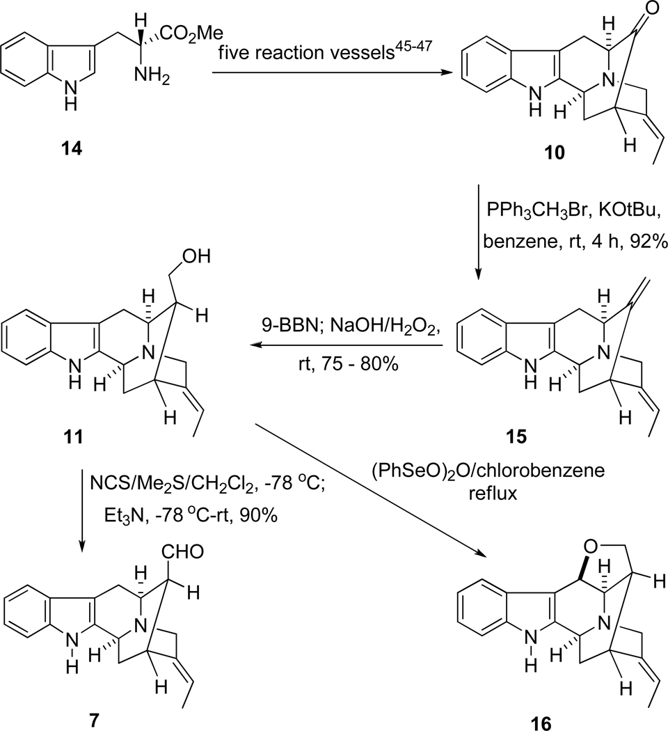 SCHEME 2