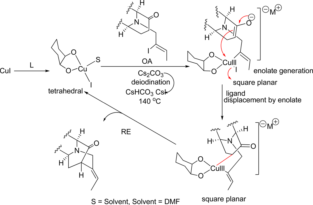 SCHEME 7