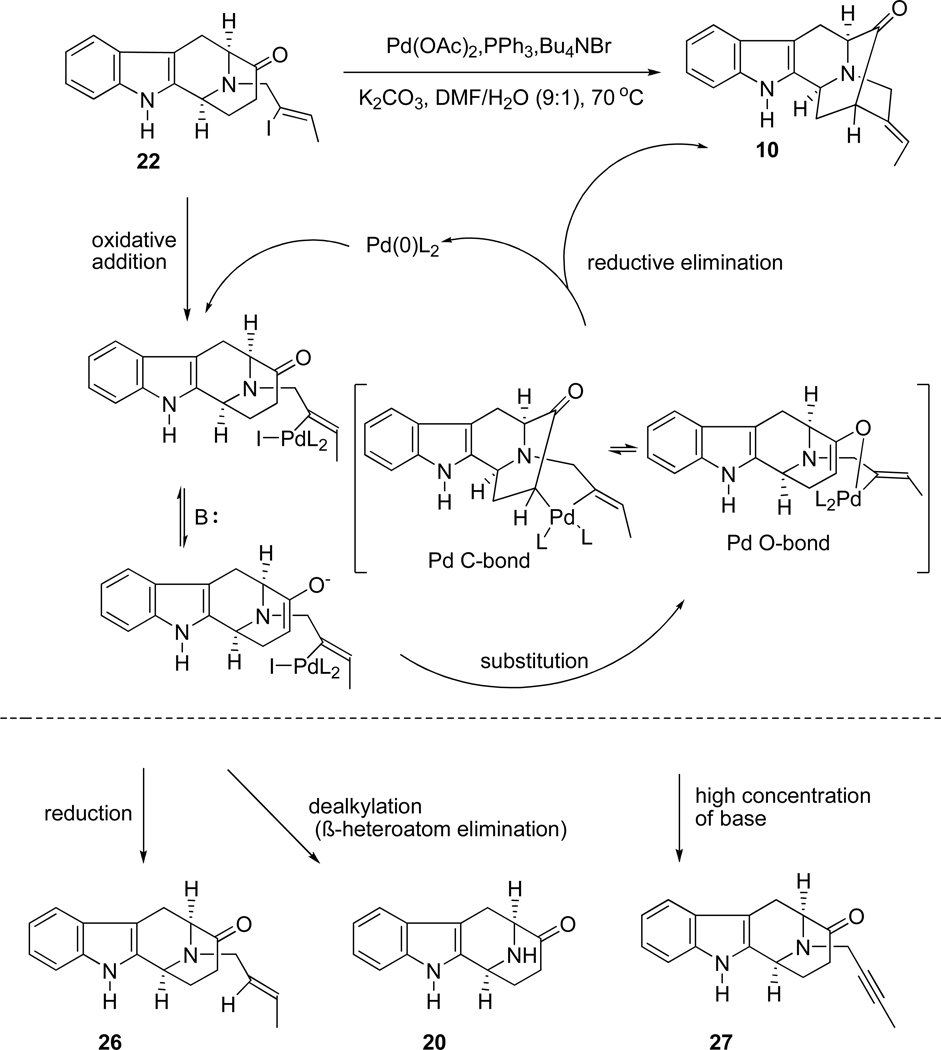 SCHEME 6