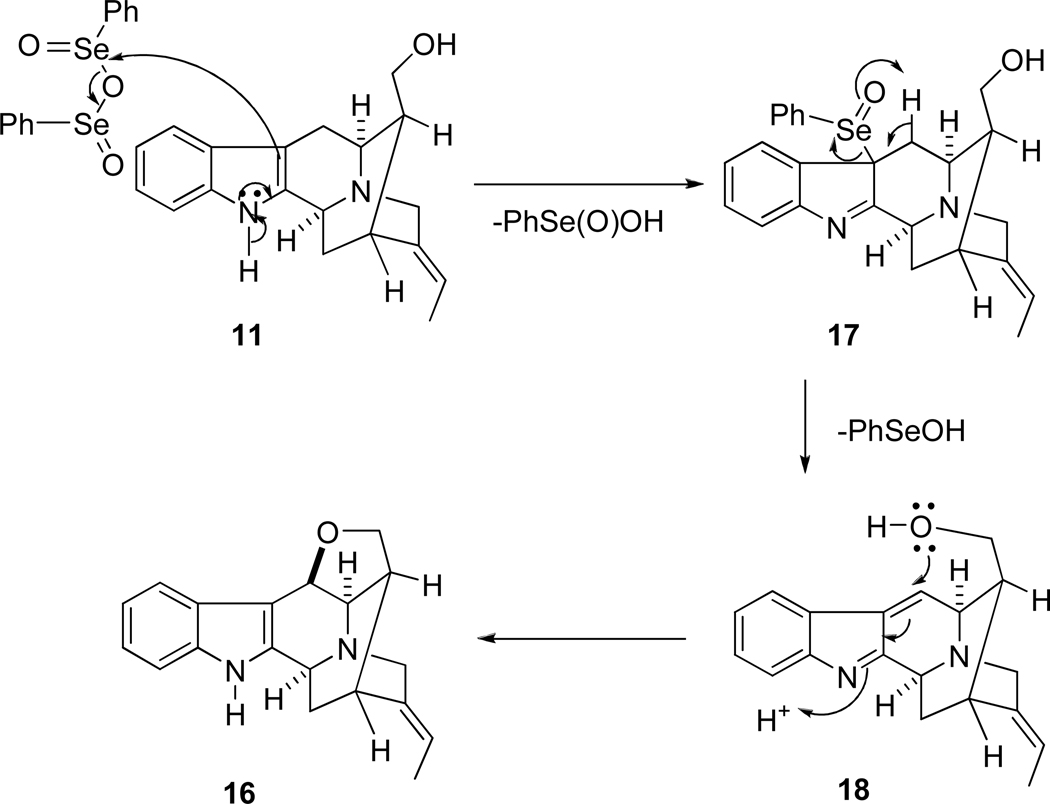 SCHEME 3