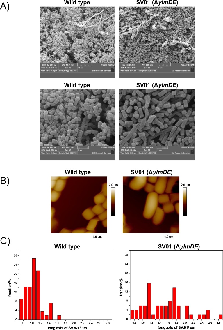 Fig. 3