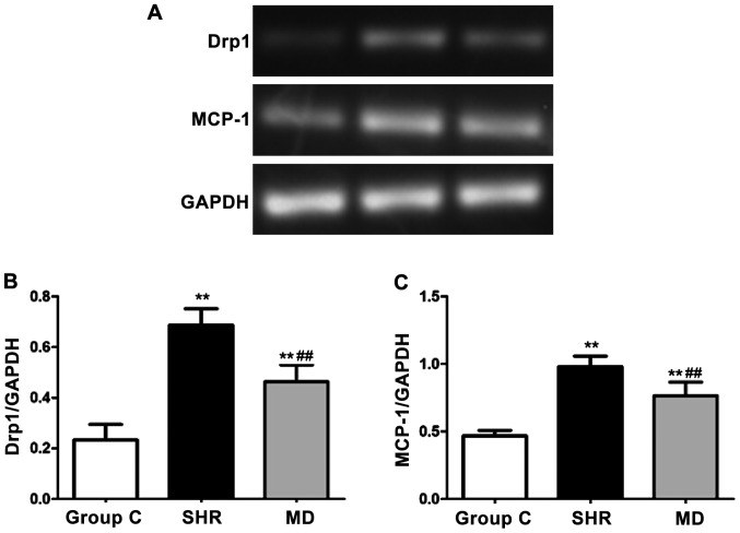 Figure 5.