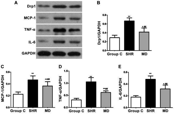 Figure 6.