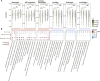 Fig. 4