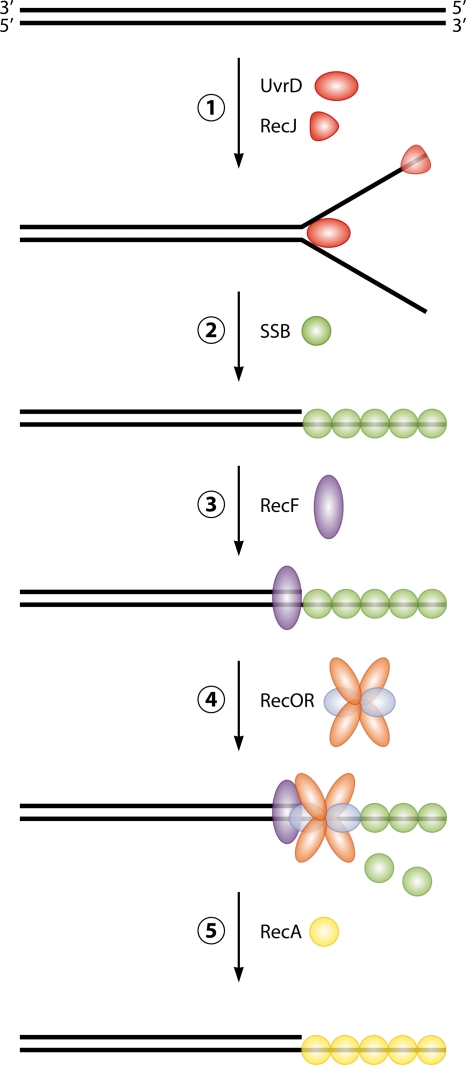 FIG. 7.