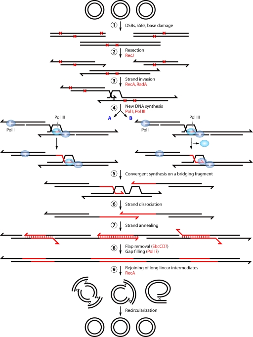 FIG. 6.