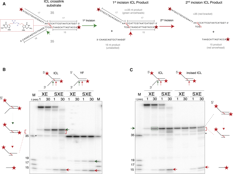 Figure 5