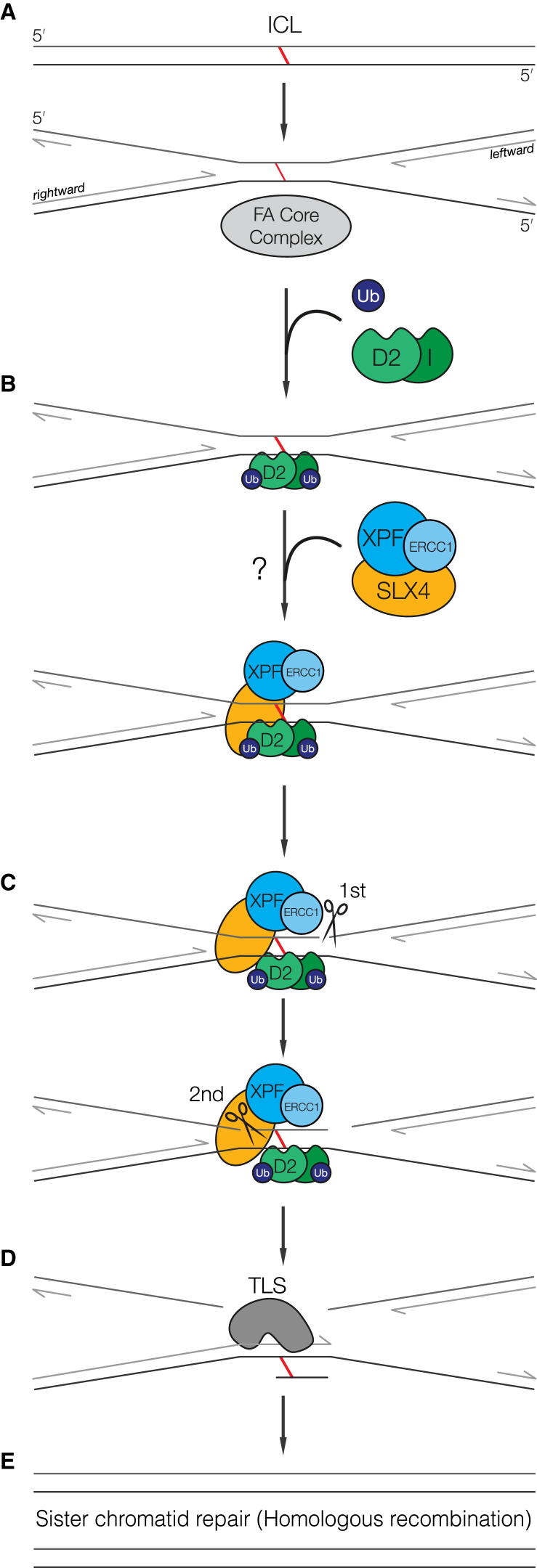 Figure 7