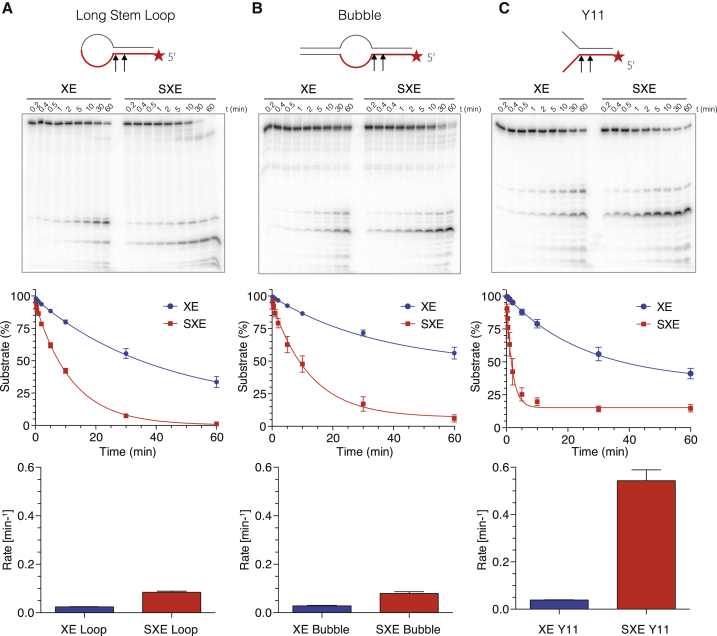 Figure 4