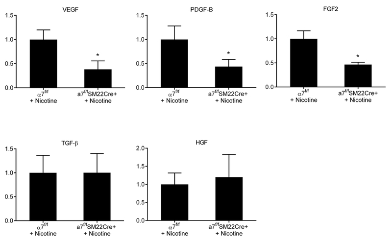 Figure 6.