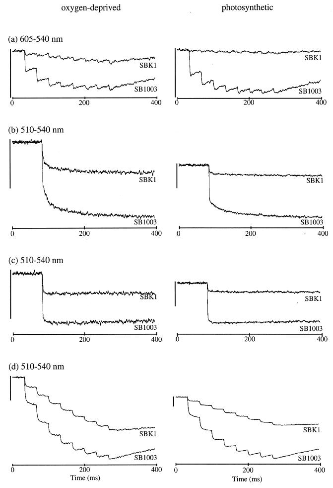 FIG. 6