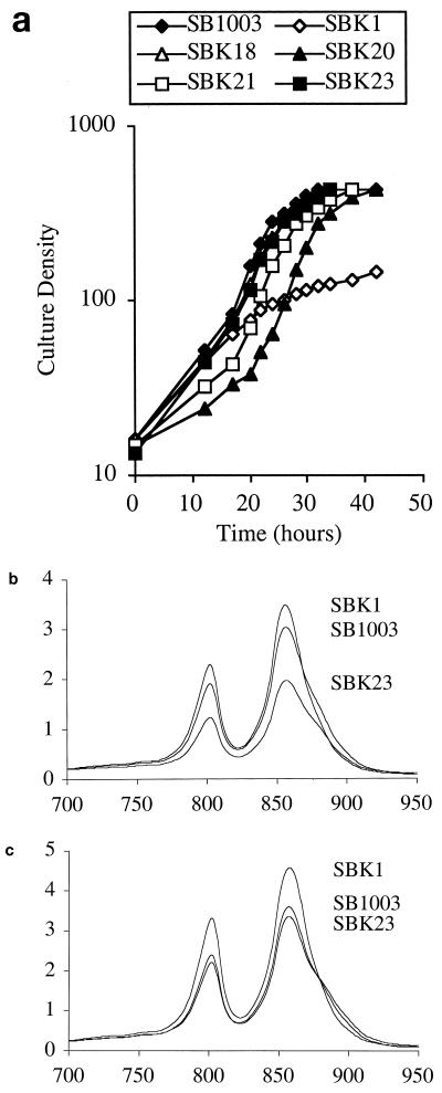 FIG. 7