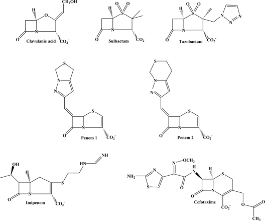 FIG. 1.