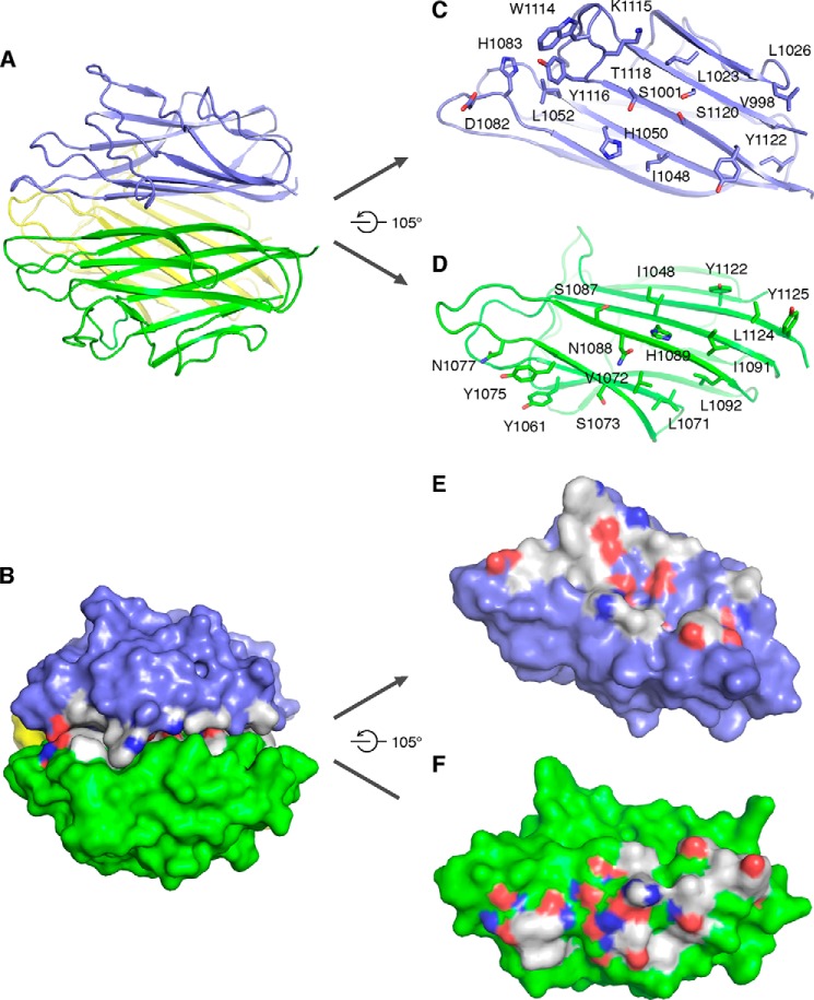 FIGURE 2.