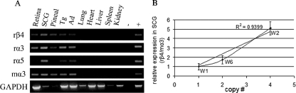 FIG. 2.