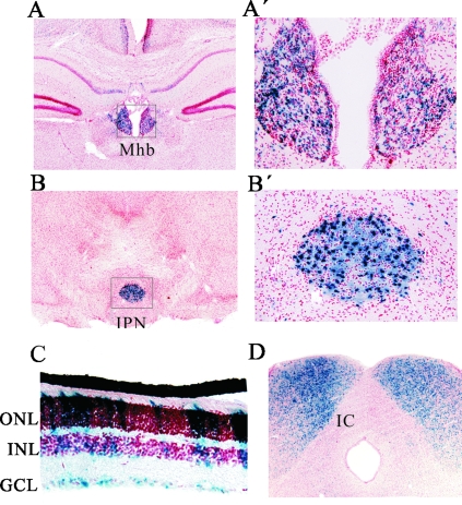 FIG. 8.