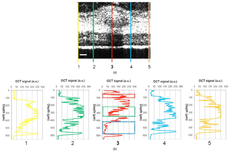 Fig. 4