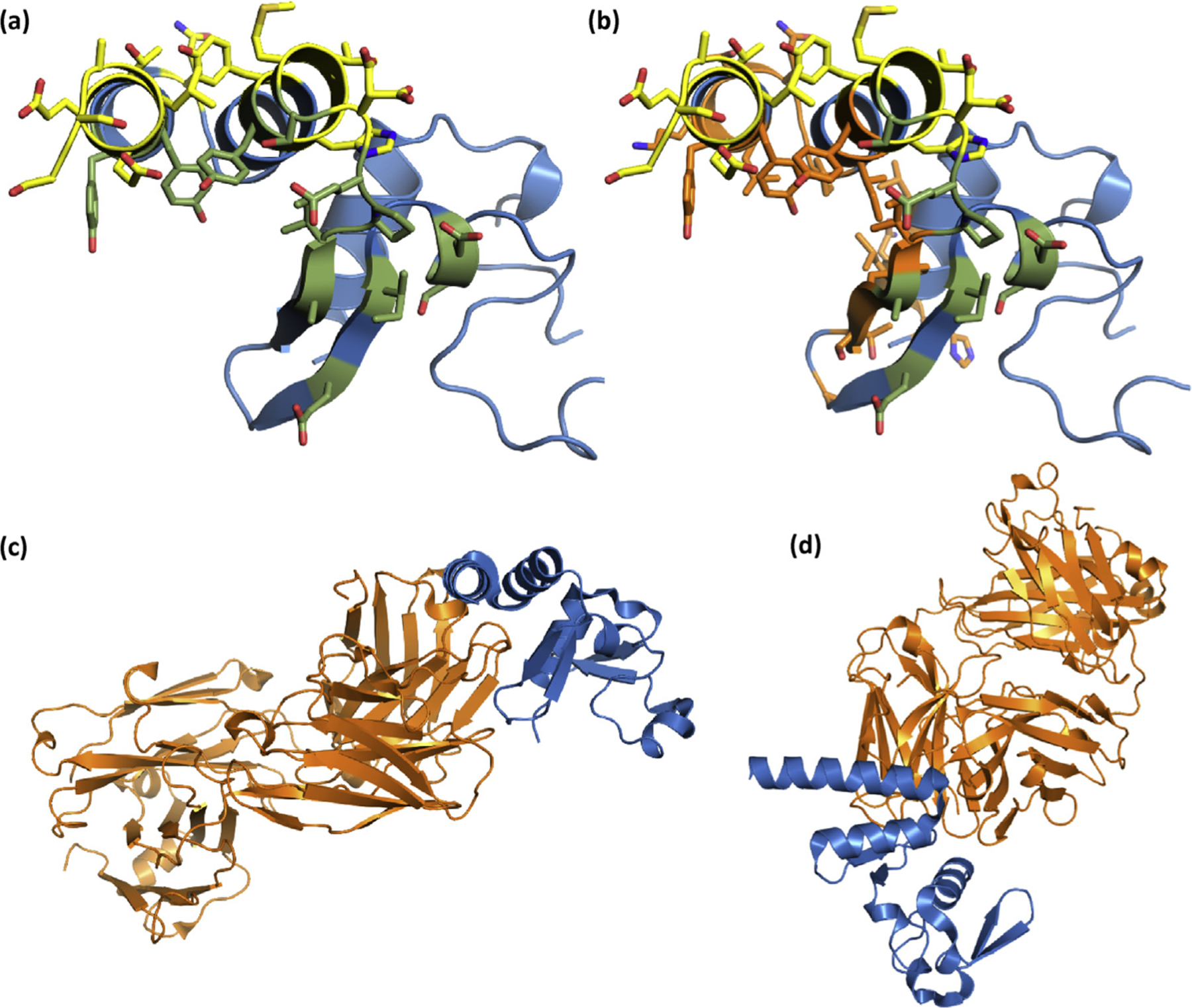 Fig. 10.