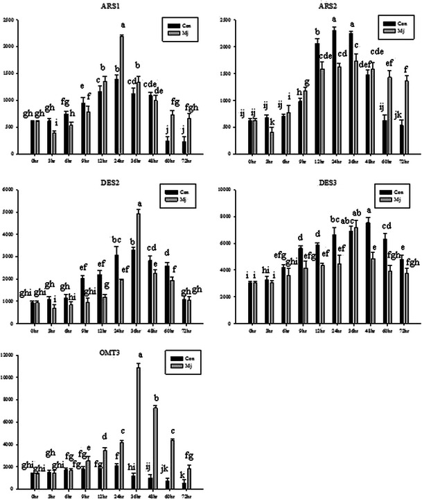 Fig. 10