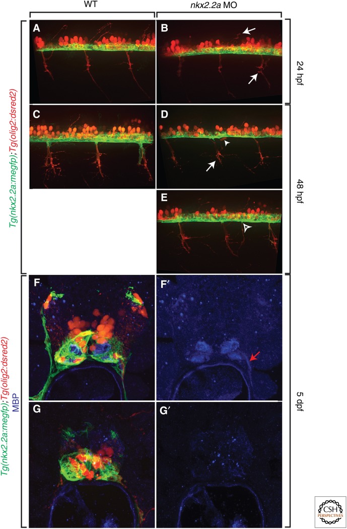 Figure 3.